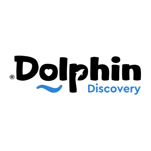 Dolphin Swim Adventure $79.2/person, Dolphin Discovery, Punta Cana